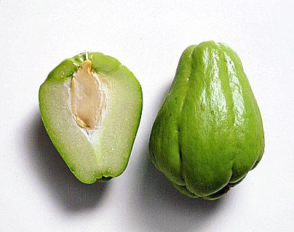 chayote2
