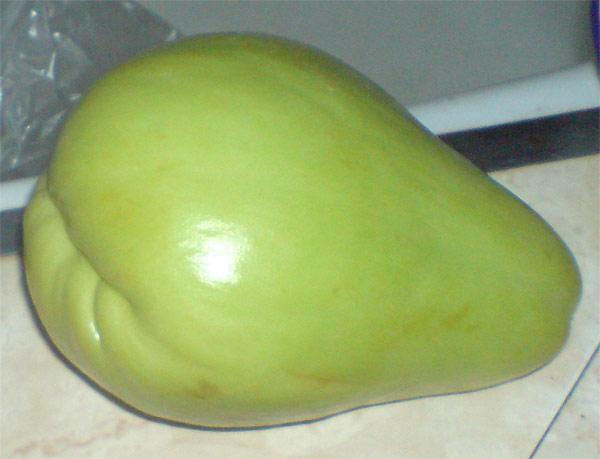 chayote5
